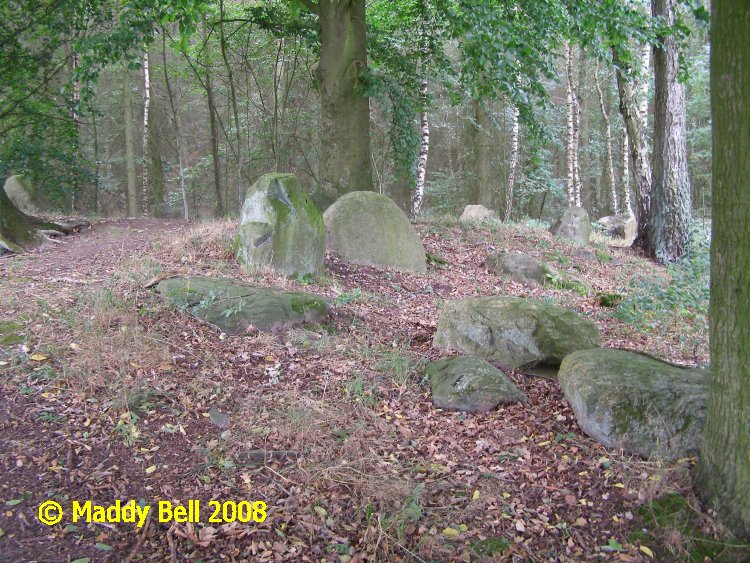 Click for the gallery page to add comments and vote (PID:42327) Everstorfer Forst Nord (1)