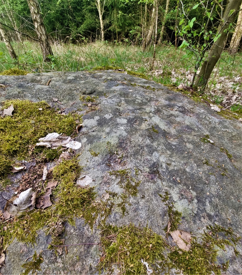 Schalenstein Wodarg