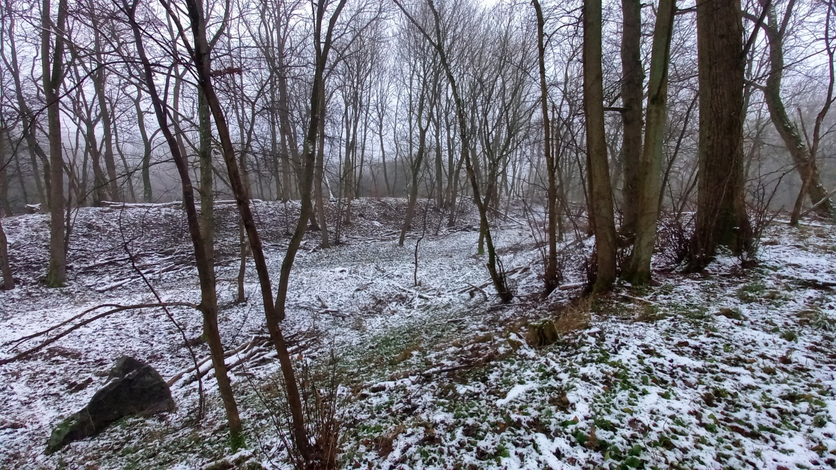 Click for the gallery page to add comments and vote (PID:236612) Burgwall im Lenné Park Göhren