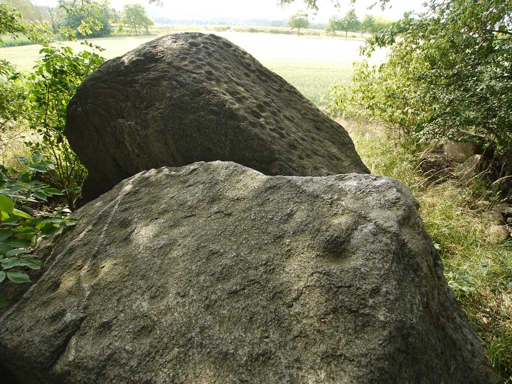 Chambered Tomb in Mecklenburg-Western Pomerania

The impressive remains of a former much bigger tomb.
It is like 50% of what it has been. Chambers width of apprx 2m
would fit to a tomb with at least 4 mighty stones on the long sides;
but these are lost, obviously the farmer plowed too close in former times;
or they have been stolen. The remaining stones are close to the barrows edge.
Both o