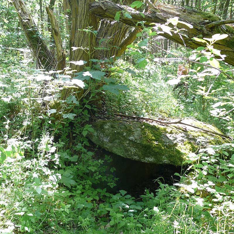 Twietfort Steingrab 1 (PID:89754) Twietfort Steingrab 1