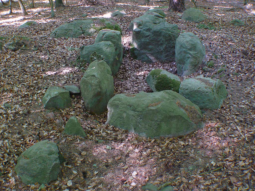 Remains of a Chambered Tomb in a forest near Twietfort.

Three orthostats on each long side.
One of the middle stones has fallen into the chamber.
The chamber is embedded into the ground, the former,
most likely three, capstones have been removed.
Outside the chamber we see some big stones,
the mighty one close the chamber shows some faint cupmarks.
Looks like the chamber had an entry in t