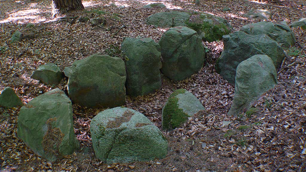 Remains of a Chambered Tomb in a forest near Twietfort.

Three orthostats on each long side.
One of the middle stones has fallen into the chamber.
The chamber is embedded into the ground, the former,
most likely three, capstones have been removed.
Outside the chamber we see some big stones,
the mighty one close the chamber shows some faint cupmarks.
Looks like the chamber had an entry in t