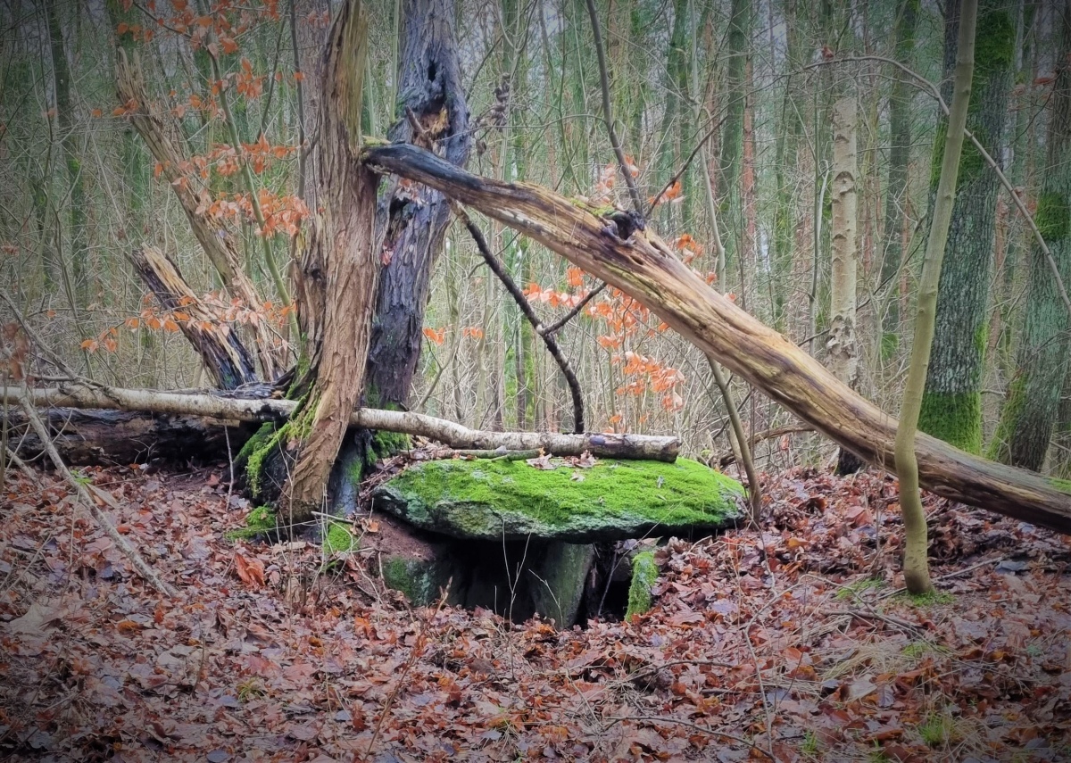 Click for full size image of Twietfort Steingrab 1 (PID:267941) Twietfort Steingrab 1