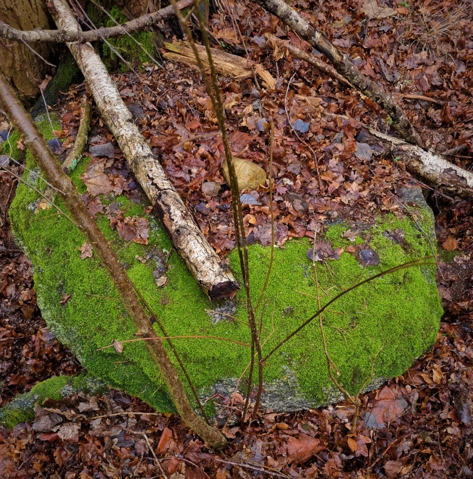 Click for full size image of Twietfort Steingrab 1 (PID:267942) Twietfort Steingrab 1