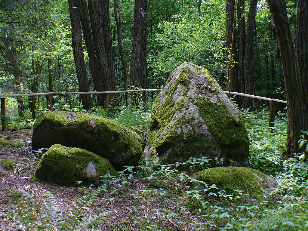 Wendhof Dolmen