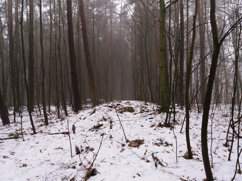 Click for the gallery page to add comments and vote (PID:161877) Hügelgräber Bredenfelde