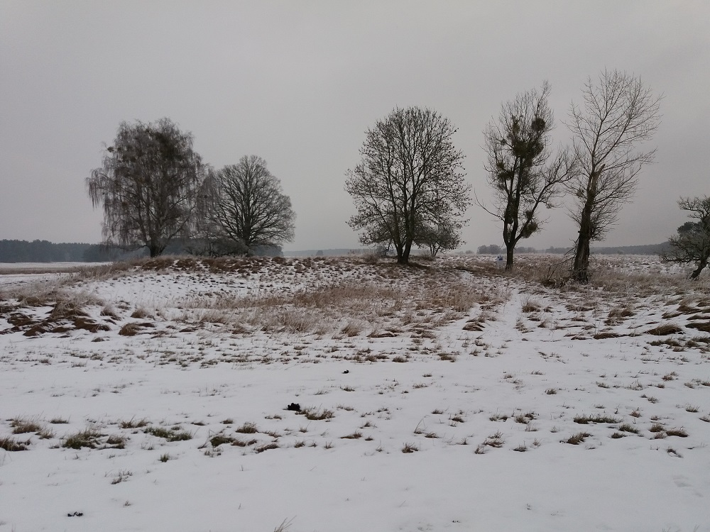 Click for the gallery page to add comments and vote (PID:161524) Burgwall Hühnerwinkel