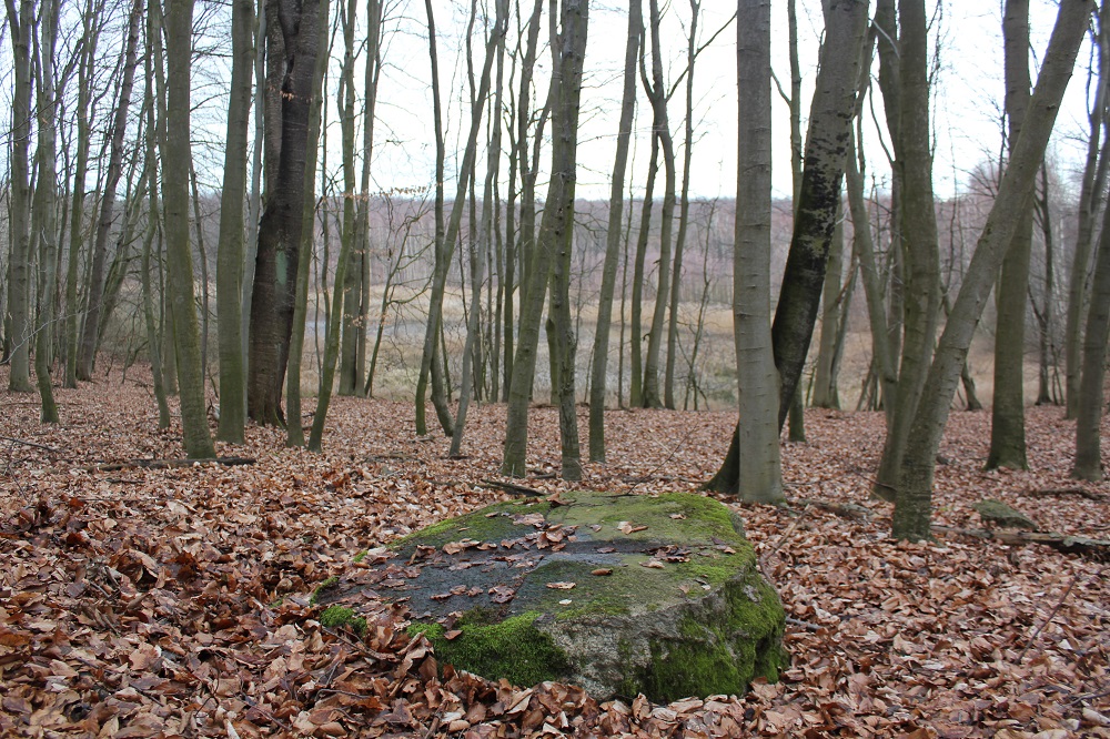 Click for the gallery page to add comments and vote (PID:161377) Caselow Forst Schalenstein 3
