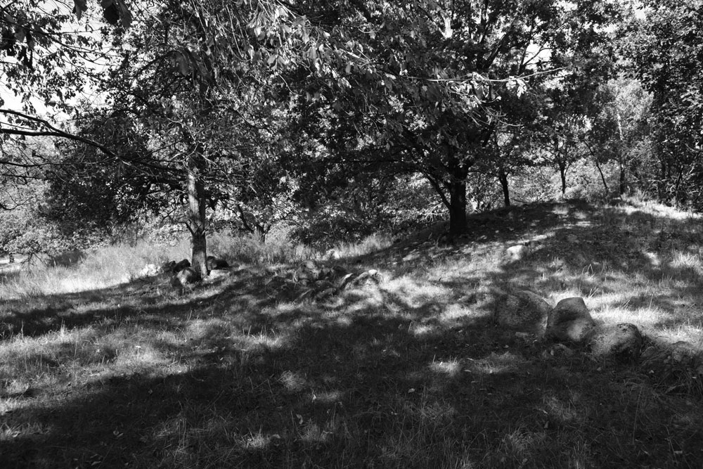 Click for the gallery page to add comments and vote (PID:216254) Hünenfriedhof