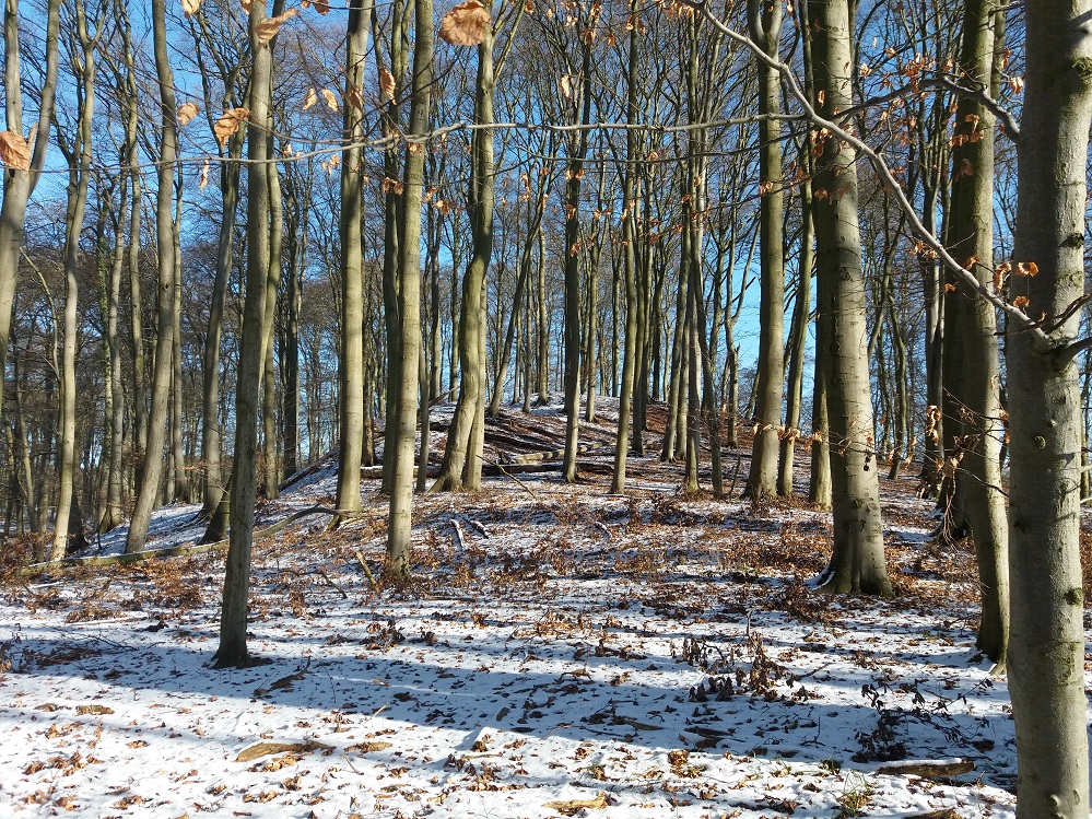 Click for the gallery page to add comments and vote (PID:177903) Burgwall Feldberg