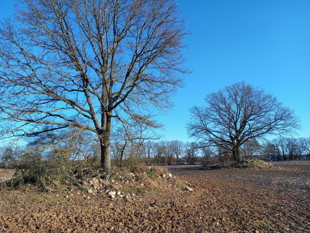 Click for the gallery page to add comments and vote (PID:224138) Hügelgräber Bresewitz