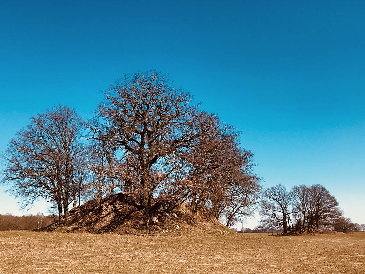 Click for the gallery page to add comments and vote (PID:179356) Hügelgräber Mollenstorf