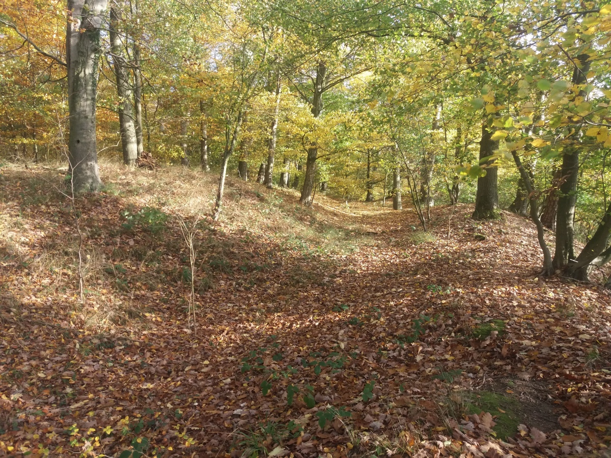 Click for the gallery page to add comments and vote (PID:219577) Burgwall Rothemühl