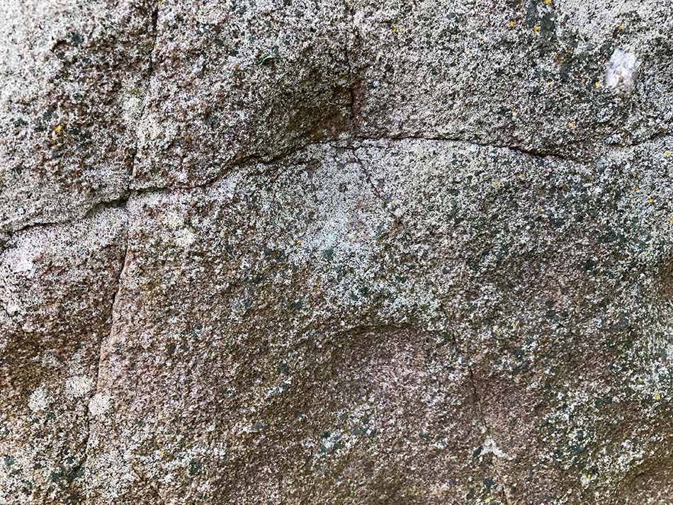 Click for full size image of Schalenstein Schönbeck (PID:165360) Schalenstein Schönbeck