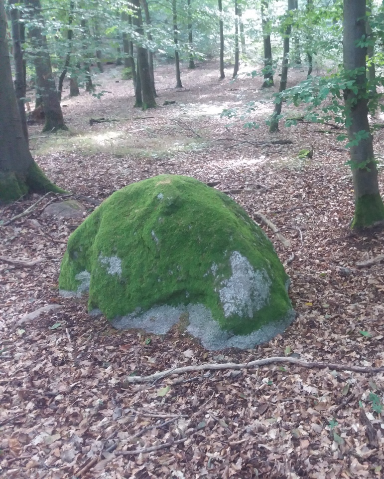 Click for the gallery page to add comments and vote (PID:215742) Schälchenstein 2 Wetzenow Forst