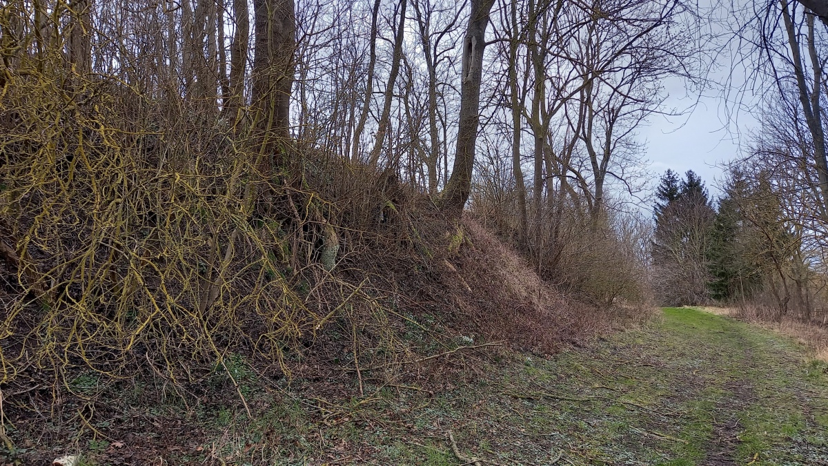 Click for the gallery page to add comments and vote (PID:238213) Schlossberg Gützkow