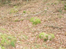 Ziesendorf Steingrab (4)