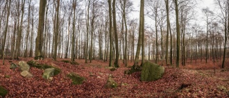 Laehnwitz Huenenbett