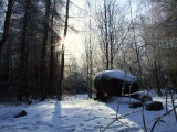 Everstorfer Forst Nord (2) - PID:72182