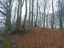 Hügelgrab Saßnitz 140