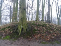 Hügelgrab Saßnitz 140