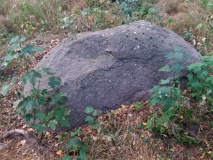 Schälchenstein Radewitz