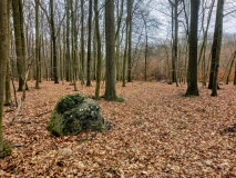 Schälchenstein Bredenfelde