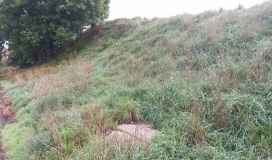 Rillenstein Nieden