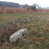 Rillenstein Plöwen 44