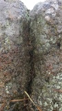 Rillenstein Plöwen 44