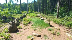 Everstorfer Forst Nord (6)