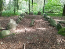 Everstorfer Forst Nord (3)