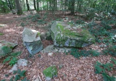 Everstorfer Forst Nord (8)