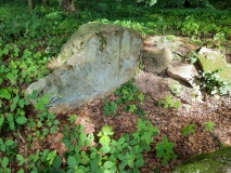 Everstorfer Forst Nord (5)