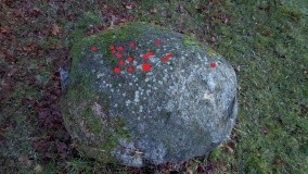 Schälchenstein Leppin
