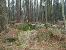 Sassnitz Waldhalle Steingrab 2