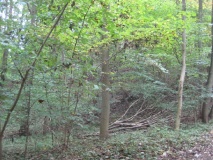 Augustenhof Grabhuegelfeld