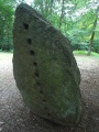 Click for full size image of Großer Boitiner Steintanz (PID:63574) Großer Boitiner Steintanz