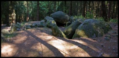 Everstorfer Forst Sued (4)