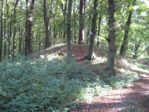 Dwasieden Grabhügel