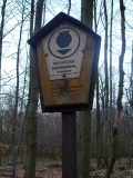 Everstorfer Forst Nord (9)