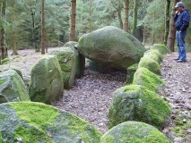 Everstorfer Forst Sued (4)