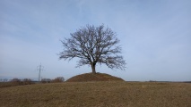 Click for full size image of Hügelgrab Damerow (PID:254119) Hügelgrab Damerow
