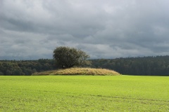 Hügelgrab Jungfernberg