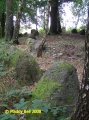 Click for full size image of Everstorfer Forst Nord (1) (PID:42329) Everstorfer Forst Nord (1)
