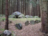 Everstorfer Forst Sued (4)