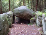 Everstorfer Forst Sued (4)