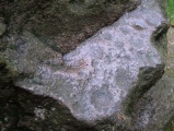 Click for full size image of Everstorfer Forst Teufelsbackofen (PID:51377) Everstorfer Forst Teufelsbackofen