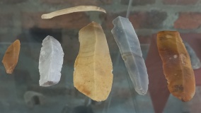 Museum der Stadt Pasewalk
